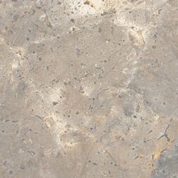 Vloer-/Wandtegel Earth Worn 60x120 Bruin