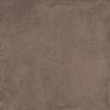 Vloer-/Wandtegel Ambre 60x60 Bruin