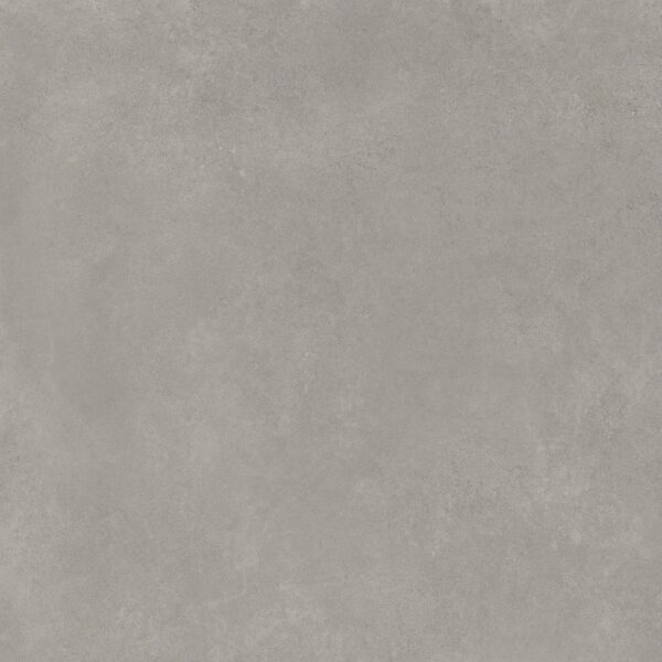 Vloer-/Wandtegel Ceniza 60x60 Grijs
