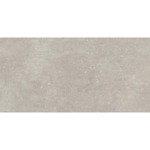 Vloer-/Wandtegel Absolute Grigio 60x120 Grijs