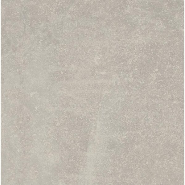 Vloer-/Wandtegel Absolute Grigio 60x60 Grijs