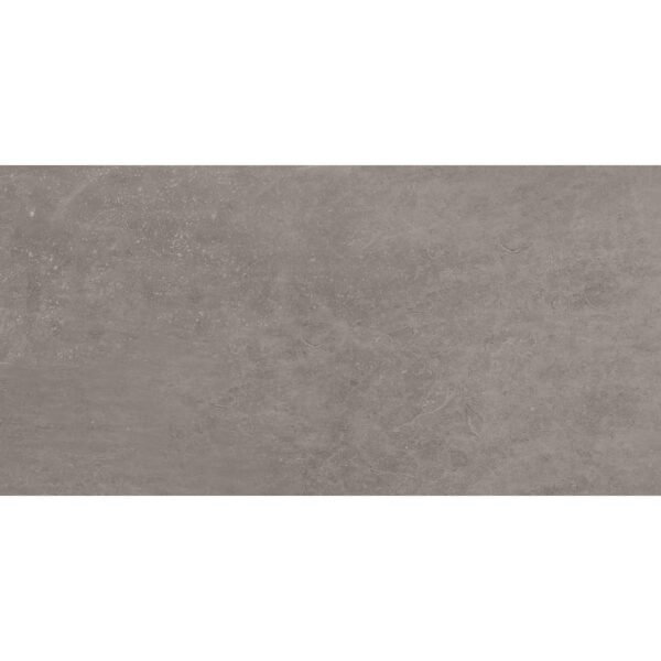 Vloer-/Wandtegel Absolute Titanio 60x120 Grijs