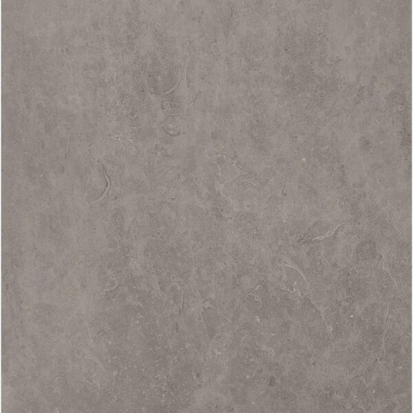 Vloer-/Wandtegel Absolute Titanio 60x60 Grijs