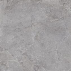 Vloer-/Wandtegel Evolution Grey 100x100 Grijs