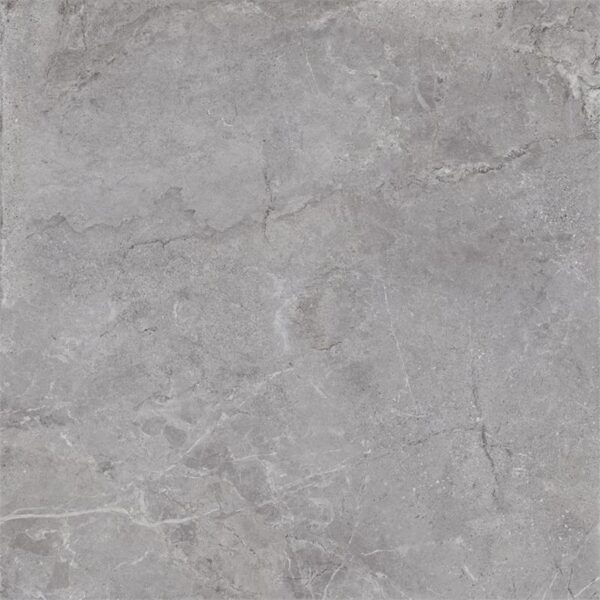 Vloer-/Wandtegel Evolution Grey 100x100 Grijs