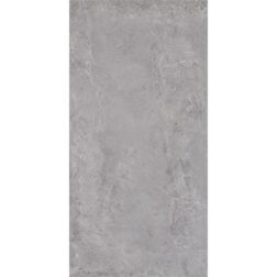 Vloer-/Wandtegel Evolution Grey 60x120 Grijs