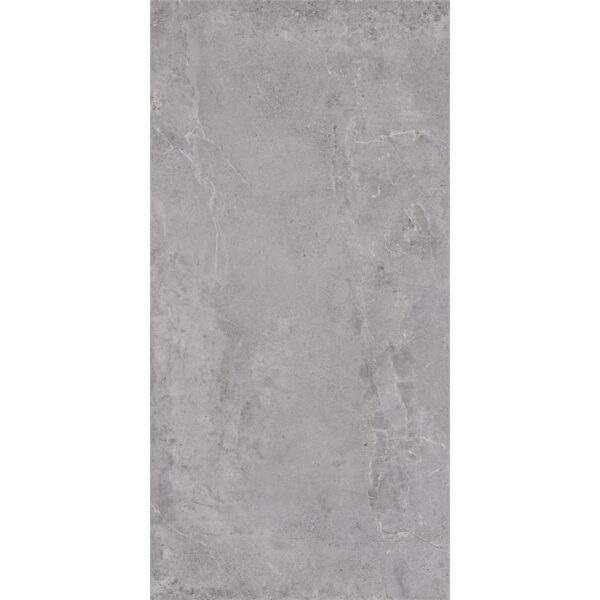 Vloer-/Wandtegel Evolution Grey 60x120 Grijs
