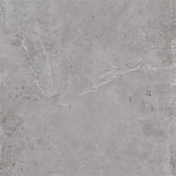 Vloer-/Wandtegel Evolution Grey 60x60 Grijs
