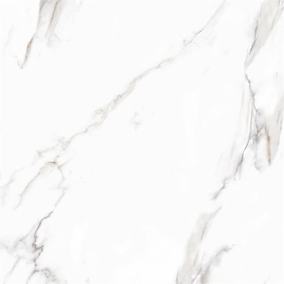 Vloer-/Wandtegel Calacatta Glans 120x120 Wit/Grijs