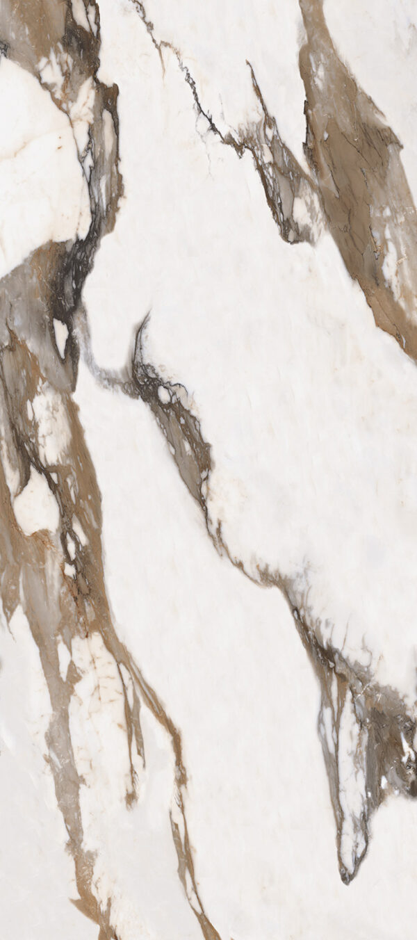 Vloer-/Wandtegel Calacatta Gold Mat 60x120 Wit/Bruin/Goud