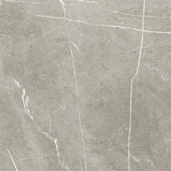 Vloer-/Wandtegel Taupe Mat 60x60 Grijs/Bruin