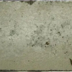 Wandtegel Moss 6.5x20 Bruin