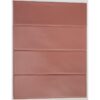 Wandtegel Terracotta 6.5x20 Rood/Bruin