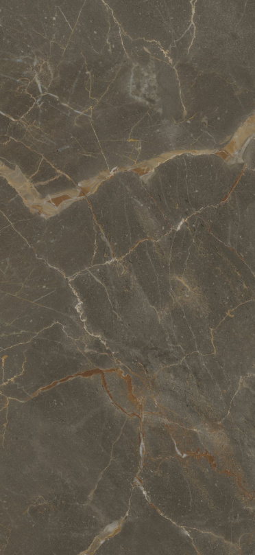 Wandtegel Riscal Brown 120x260 Bruin