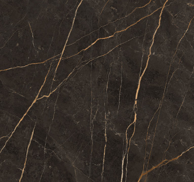 Vloer-/Wandtegel Saint Laurent 120x120 Zwart Glans