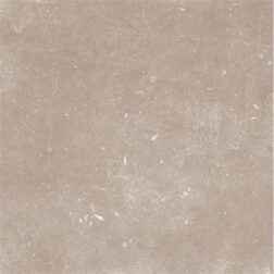 Vloer-/Wandtegel Heritage Taupe 60x60 Bruin/Beige