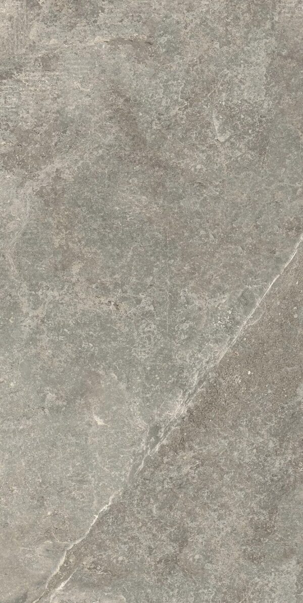 Vloer-/Wandtegel La Blue Taupe 60x120 Beige